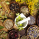 Natural Remedies for Dry Sockets